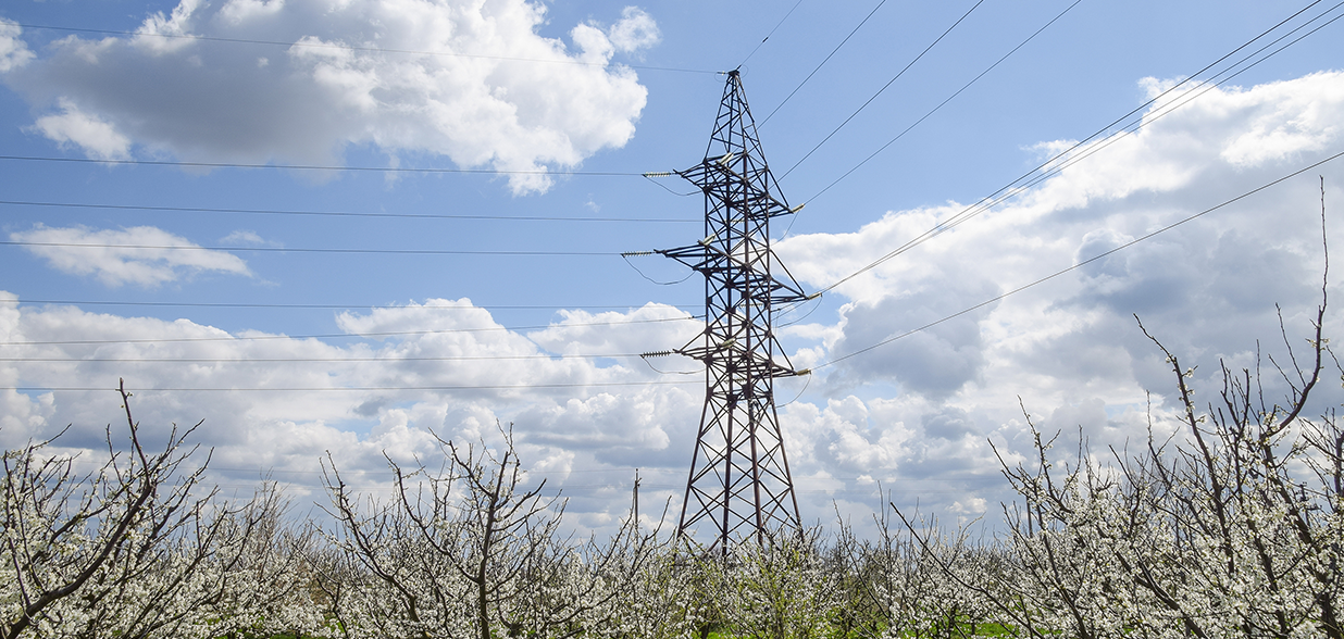 我国全面实现公里级电缆网网架可控复现